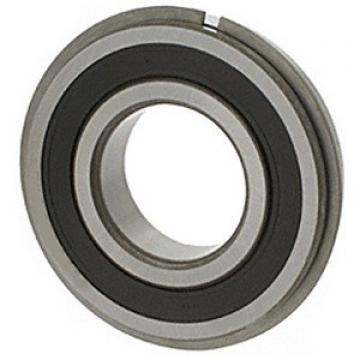 Single Row Ball Bearings 6004 2NSE9NR