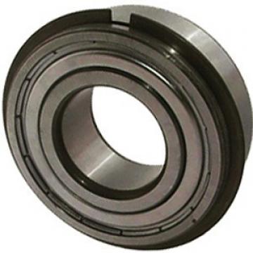 Single Row Ball Bearings 6203ZZENR